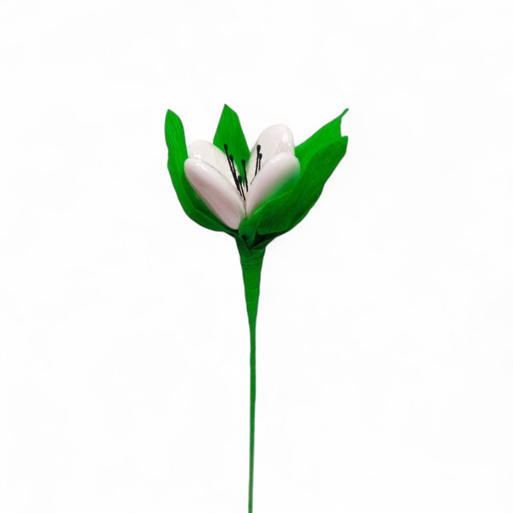 tulipe-dragees-chocolat