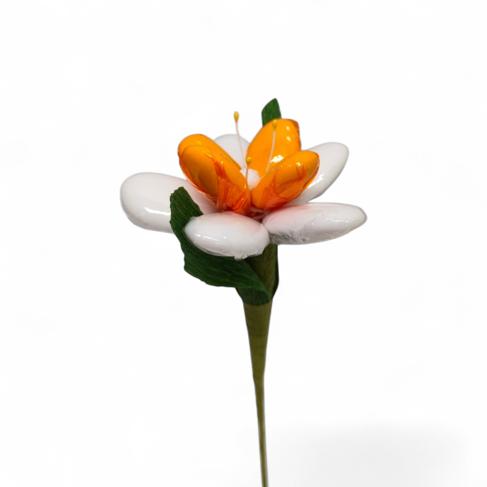 fleur-de-tiare-tahiti-dragees-chocolat