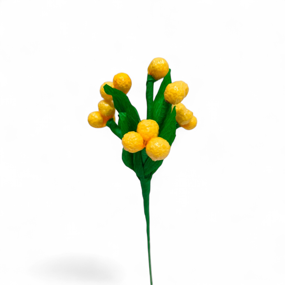 immortelle-bonbons-de-sucre