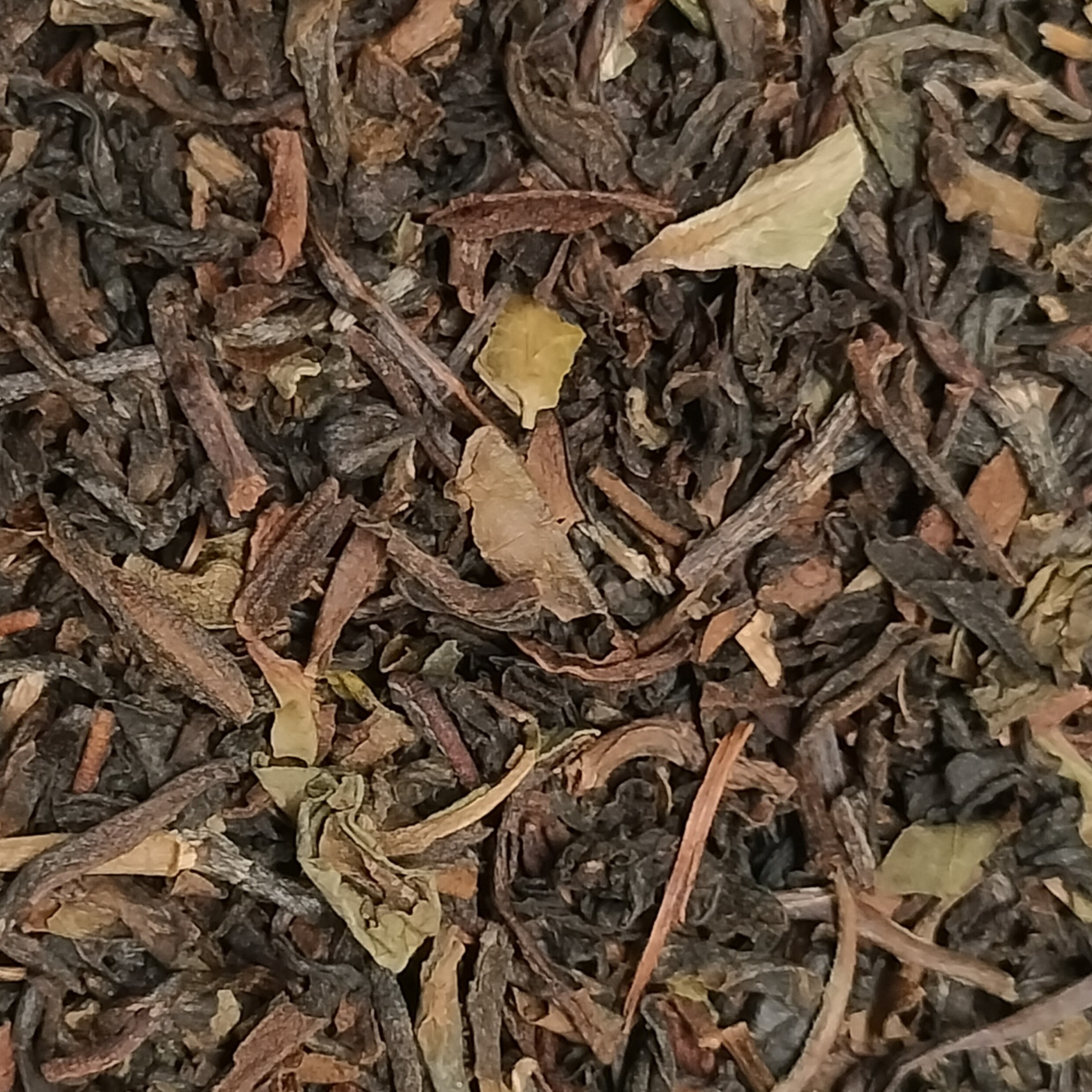 12 - Thé noir Darjeeling