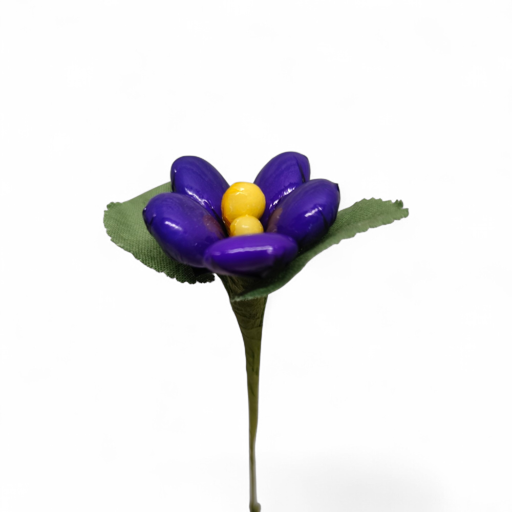 violette-dragees-chocolat