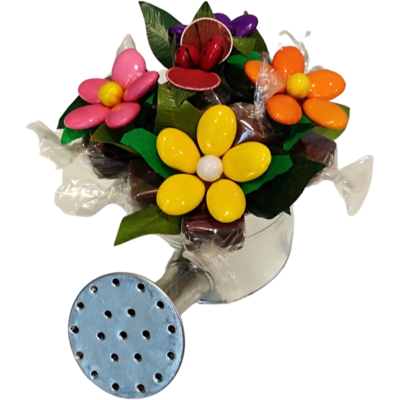 Arrosoir dragées et chocolats fête des mères coccinelle