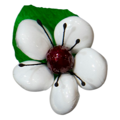 Anémone dragées chocolat
