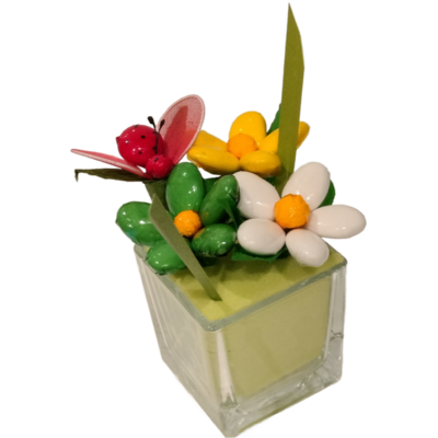 Cube verre marguerites et insecte dragees chocolat