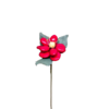 Bégonia dragées chocolat