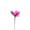 Magnolia dragées chocolat