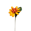Tournesol moyen dragées chocolat