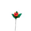 Tulipe dragées chocolat