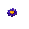 Fleur Smiley violet dragées chocolat