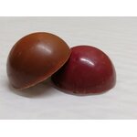 Dômes chocolat mangue passion framboise jasmin