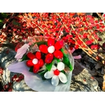 IMG-20251209-WA0055