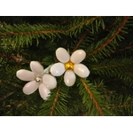 IMG-20251216-WA0010