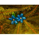 IMG-20251216-WA0012