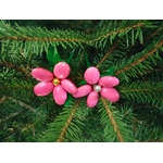 IMG-20251216-WA0011