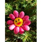 Fleur Smiley rose dragées chocolat 7