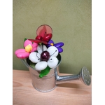 Arrosoir fête des mères fleurs coccinelle dragées chocolat