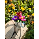 Arrosoir fête des mères fleurs dragées chocolat jardin