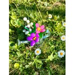 Arrosoir fleurs de dragées et muguet en bonbons de sucre prairie