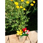 Vase bouteille fleurs de dragées et muguet en bonbons de sucre coucou
