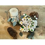 Bouquet Blanche 3