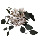 Bouquet Romy 1