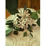 Bouquet Romy 4