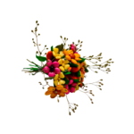 Bouquet Apolline 1