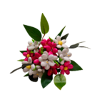 Bouquet Charlotte 1