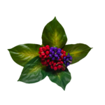 Bouquet Jade 1