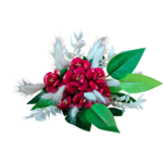Bouquet Rose 1