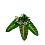 Bouquet Domitille 1