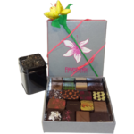 Petite box exubérance thé et chocolats ouverte