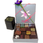 Petite box paresse thé et chocolats ouverte