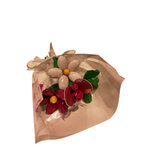 Bouquet de Noël coccinelle et marguerite dragées chocolat test