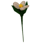Marguerite dragées chocolat 2