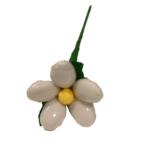Marguerite dragées chocolat 1