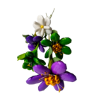 Bouquet vert violet dragées chocolat 4