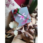 Ecrin chocolats et marguerite de Noël fermé V2