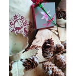 Ecrin chocolats et marguerite de Noël fermé V1