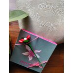 Ecrin chocolats et marguerite rouge fermé V3