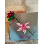 Ecrin chocolats et rose rouge en dragées fermé