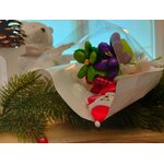 Bouquet Père Noel joyeux dragées chocolat 5