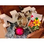 Bouquet Père Noël lumineux dragées chocolat 1