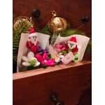 Bouquet Père Noel sensations dragées chocolat 5