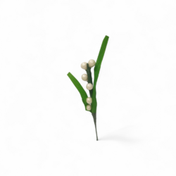 muguet