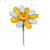 Fleur Smiley blanc et une couleur dragées chocolat