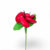 rose-de-warhol-dragees-chocolat