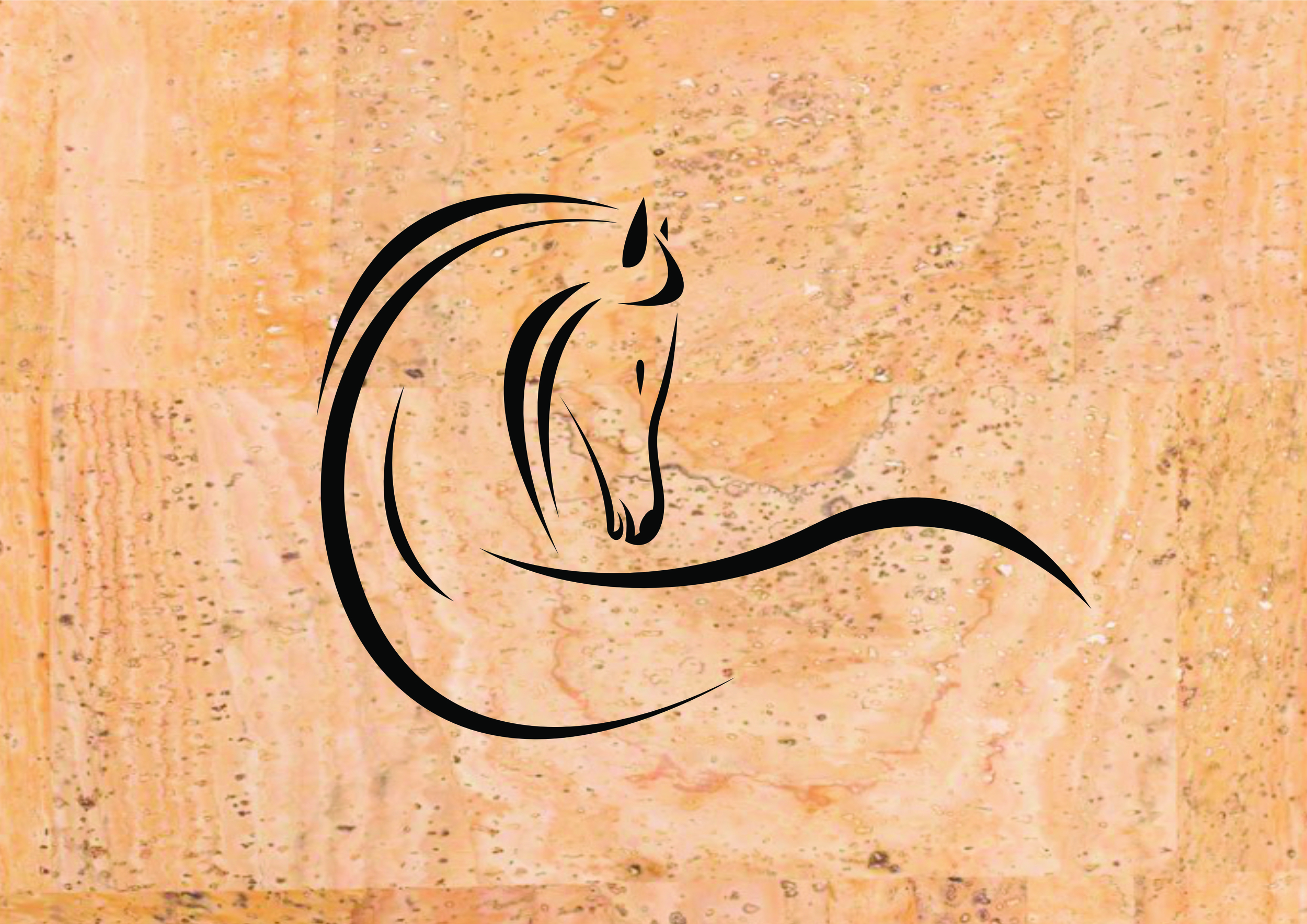 IMAGE PARA O SITE CHEVAL