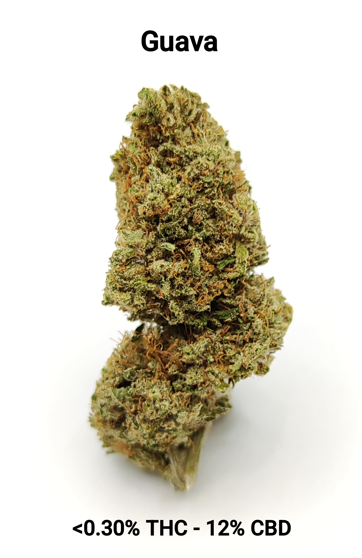 CBD-District_Fleurs CBD_Guava_CBD
