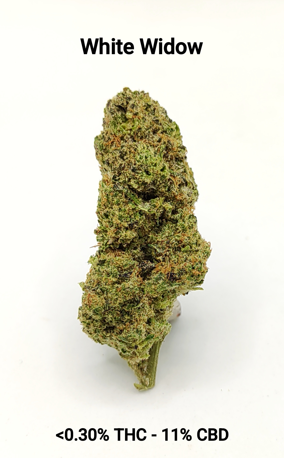 CBD-District_Fleurs CBD_White Widow_CBD